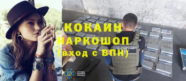 прущие грибы Алзамай