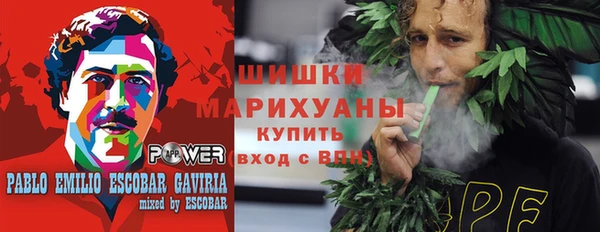 прущие грибы Алзамай